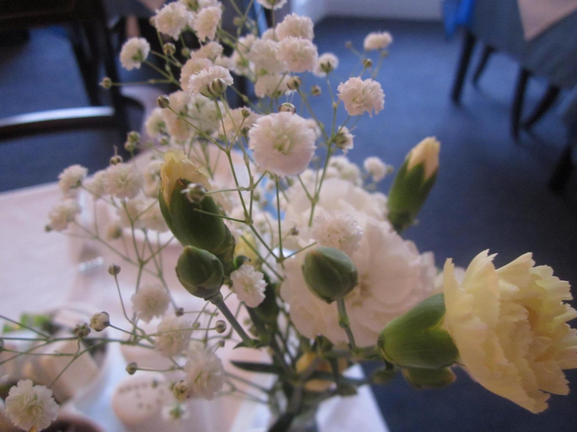 Elder York Guest House — Photos 3